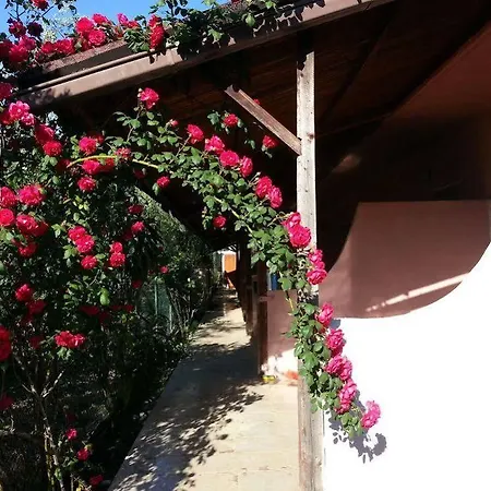 La Piccola Mole Bed & Breakfast Peschici