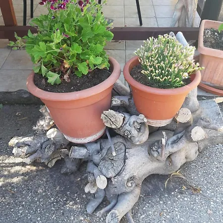 Bed & Breakfast La Piccola Mole Peschici