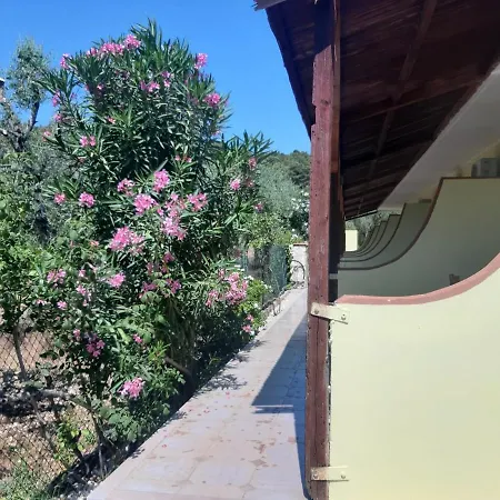 Bed & Breakfast La Piccola Mole Peschici